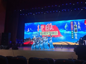 2016臨湖文藝晚會