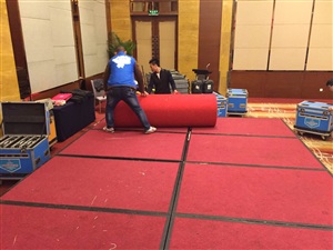 輝瑞-派格GKA研發項目簽約儀式搭建中