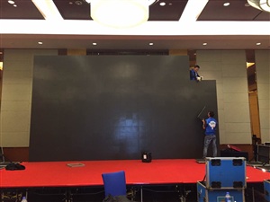 輝瑞-派格GKA研發項目簽約儀式搭建中